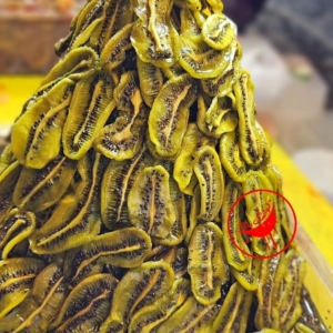ترشک کیوی